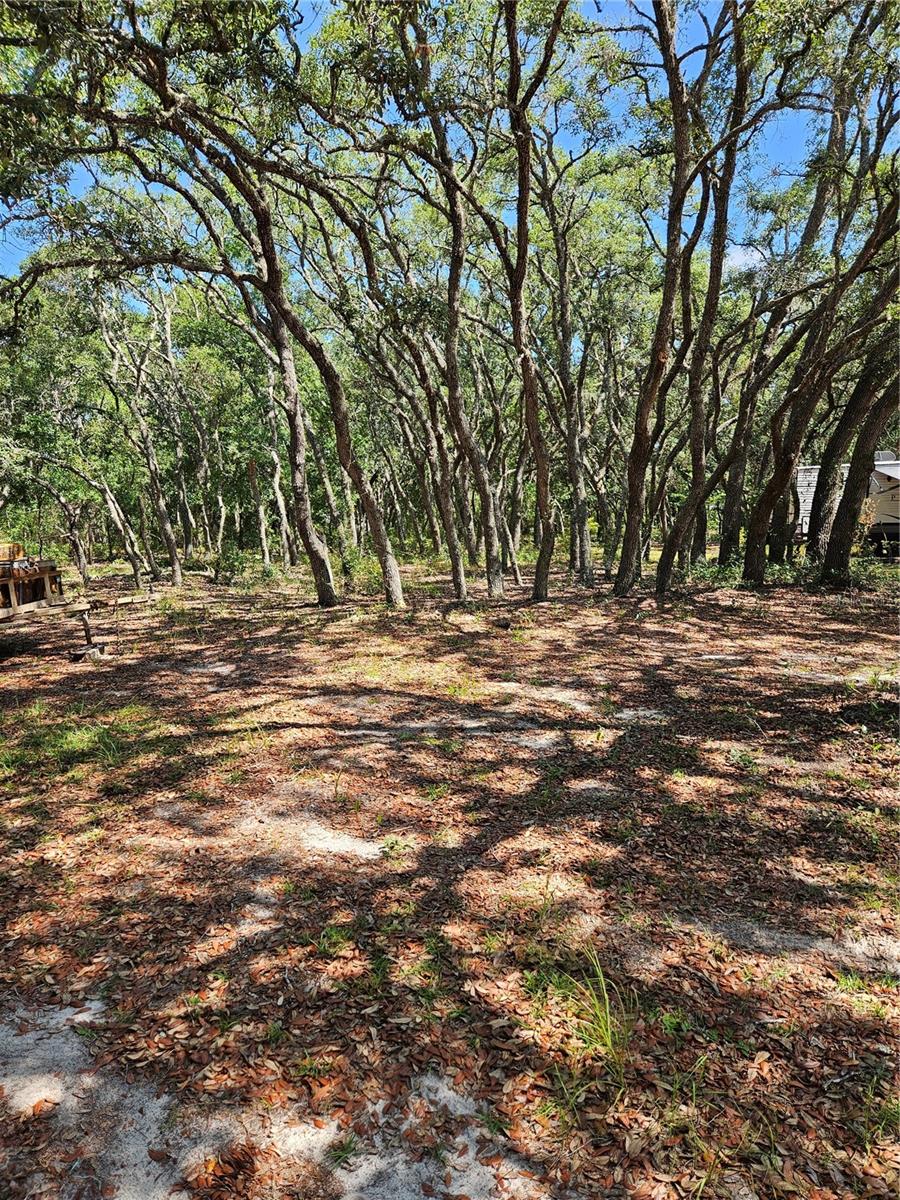 4300 W ROADRUNNER CT, HOMOSASSA, FL — photo 2