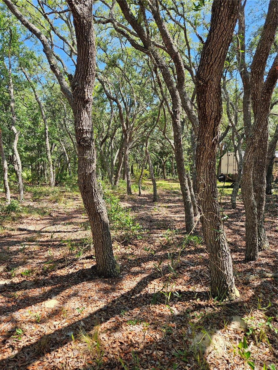 4300 W ROADRUNNER CT, HOMOSASSA, FL — photo 4