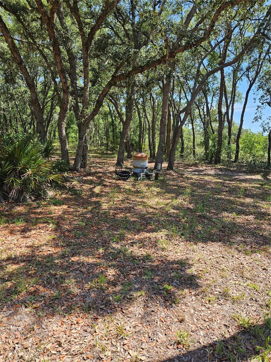 4300 W ROADRUNNER CT, HOMOSASSA, FL — photo 11
