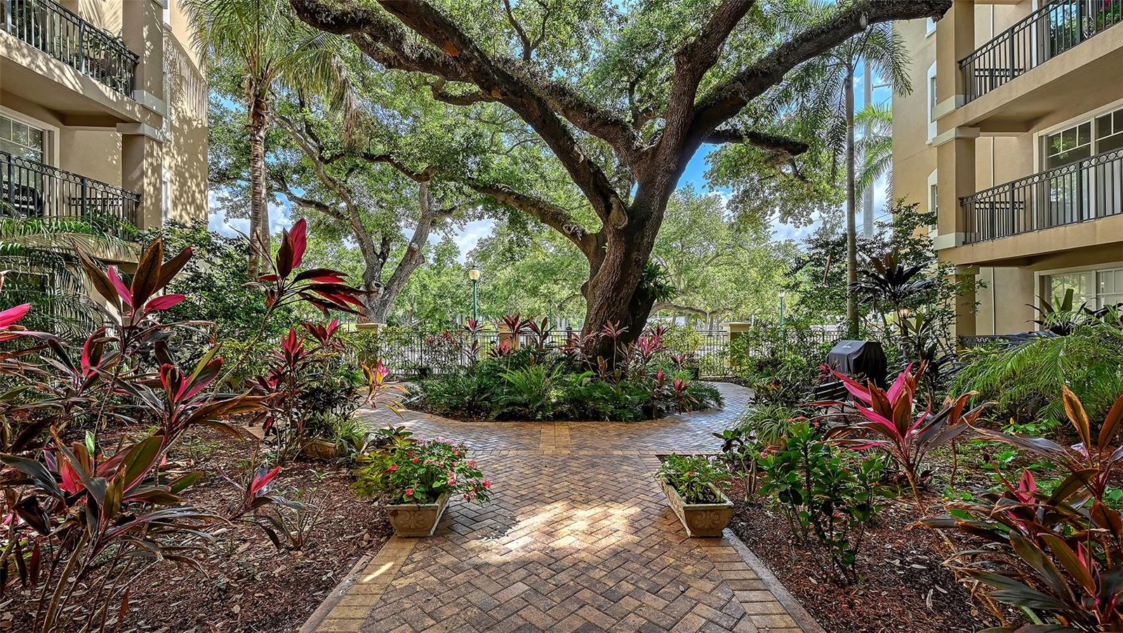 1268 11TH ST #2404, SARASOTA, FL — photo 5