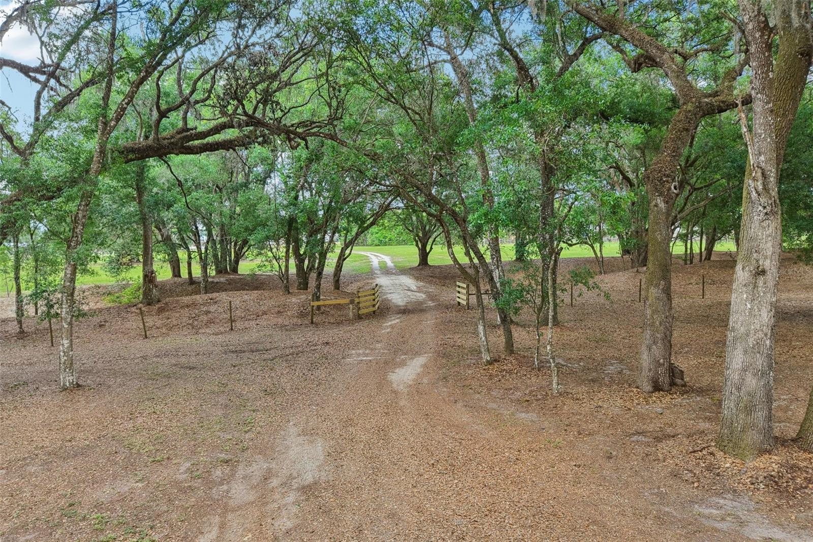 2685 CR 564, BUSHNELL, FL — photo 54