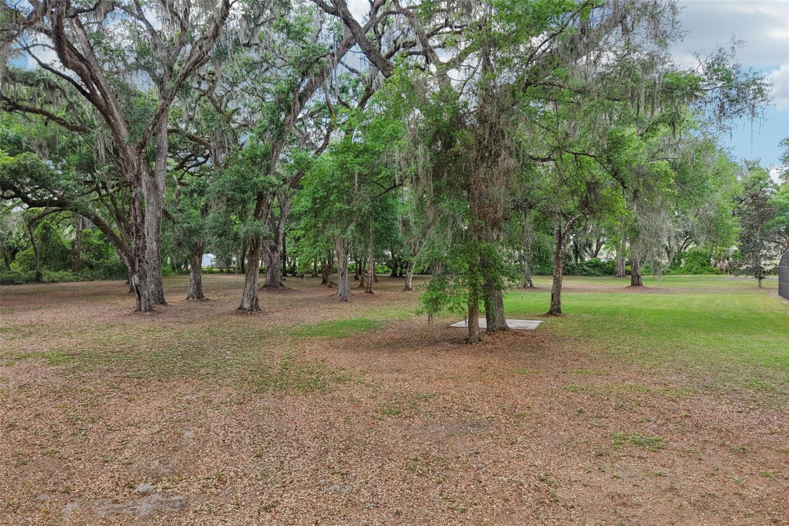 2685 CR 564, BUSHNELL, FL — photo 57