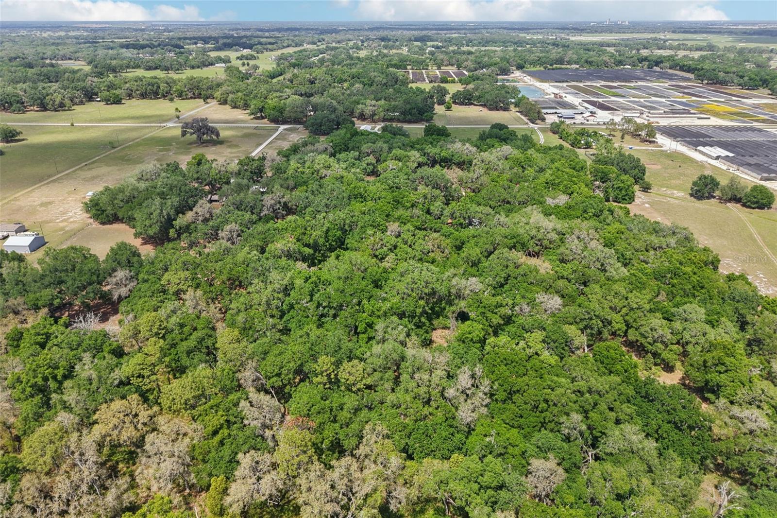 2685 CR 564, BUSHNELL, FL — photo 64