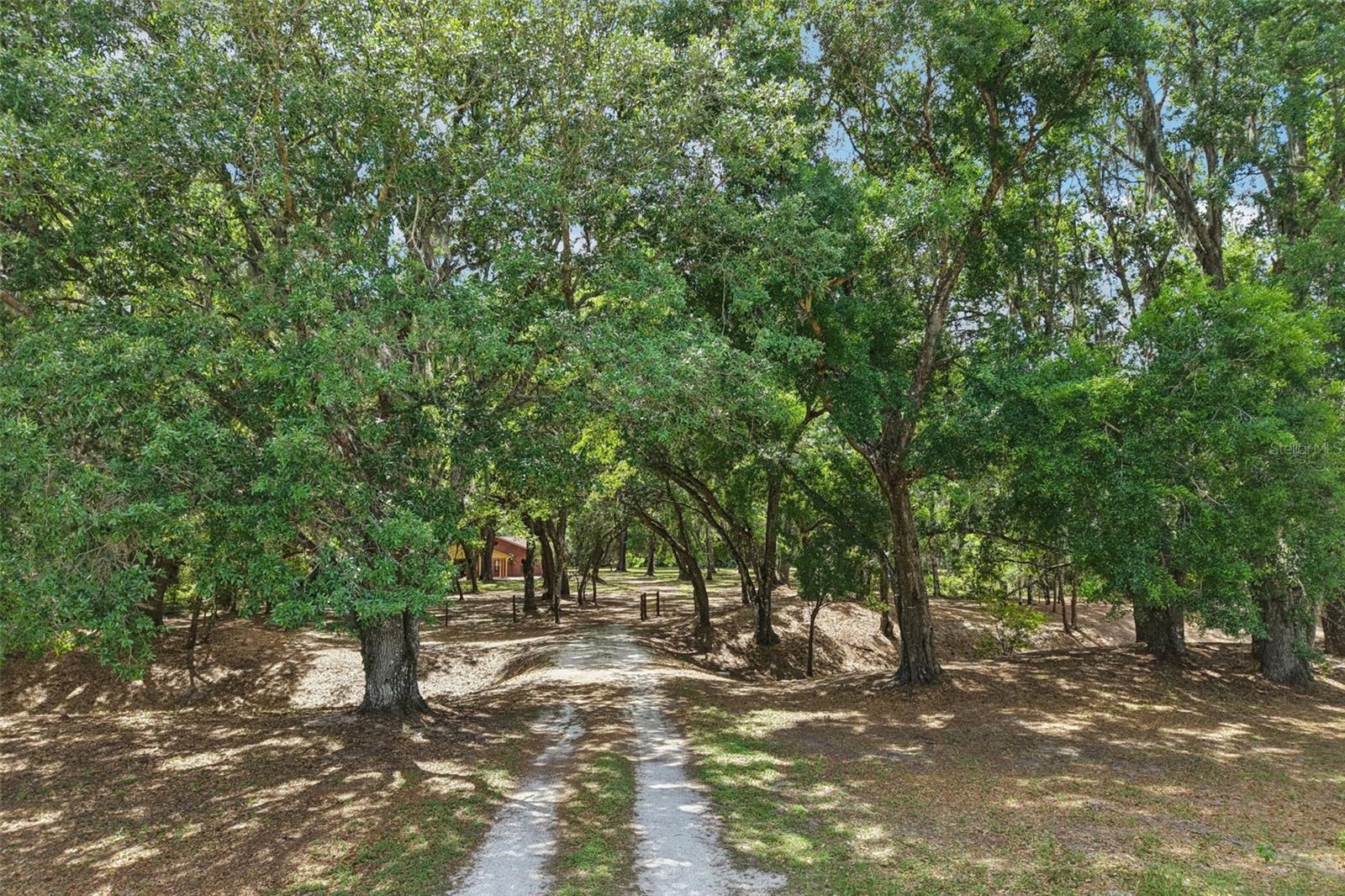 2685 CR 564, BUSHNELL, FL — photo 69