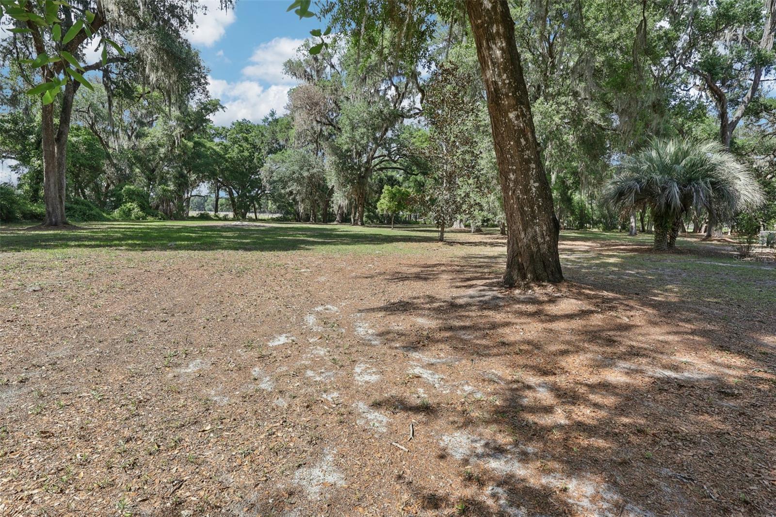 2685 CR 564, BUSHNELL, FL — photo 72