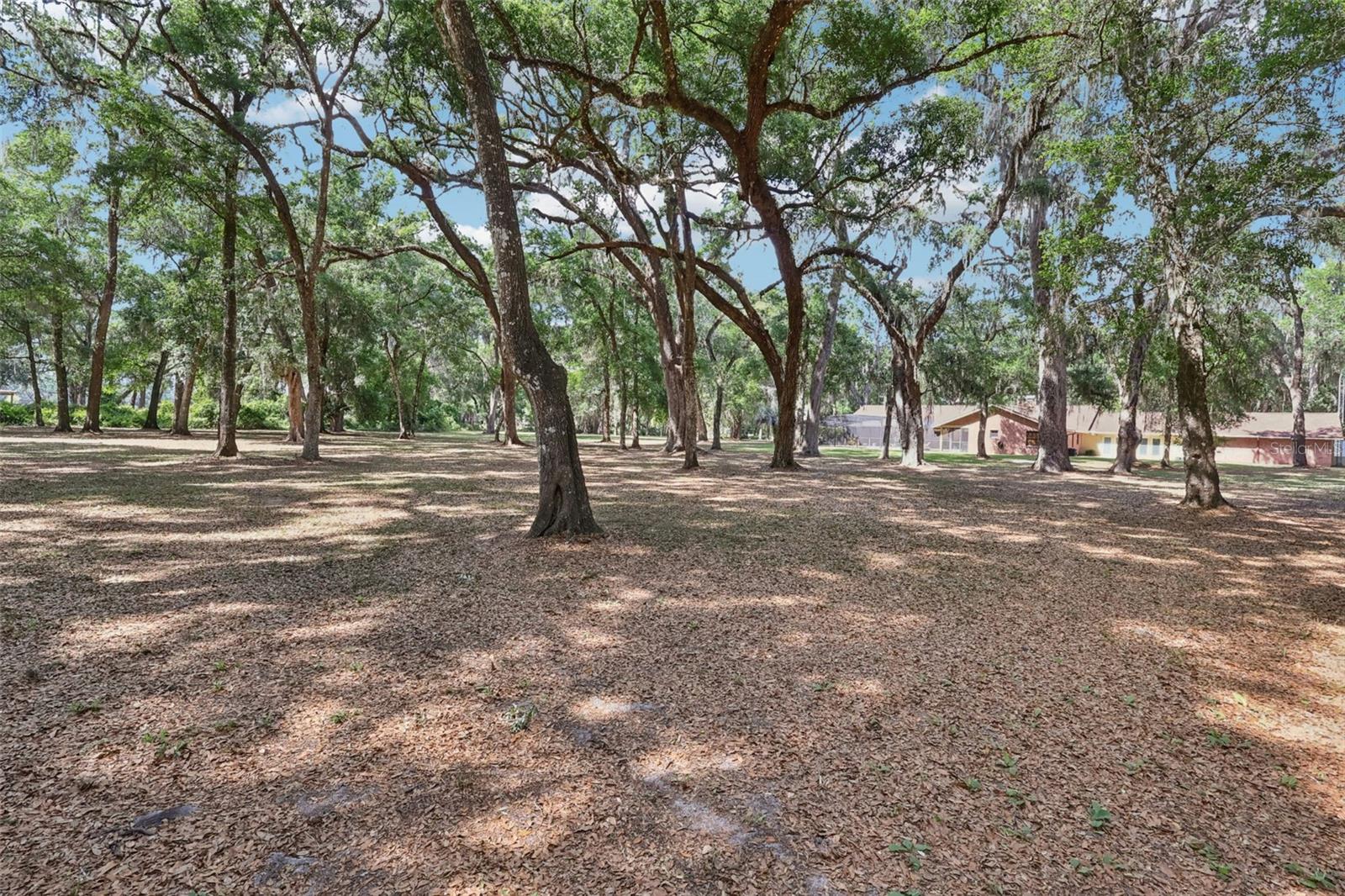 2685 CR 564, BUSHNELL, FL — photo 74