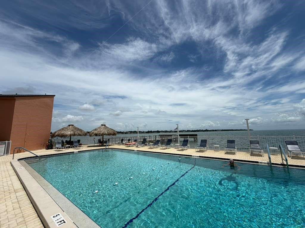 7432 SUNSHINE SKYWAY LN S #206, ST PETERSBURG, FL