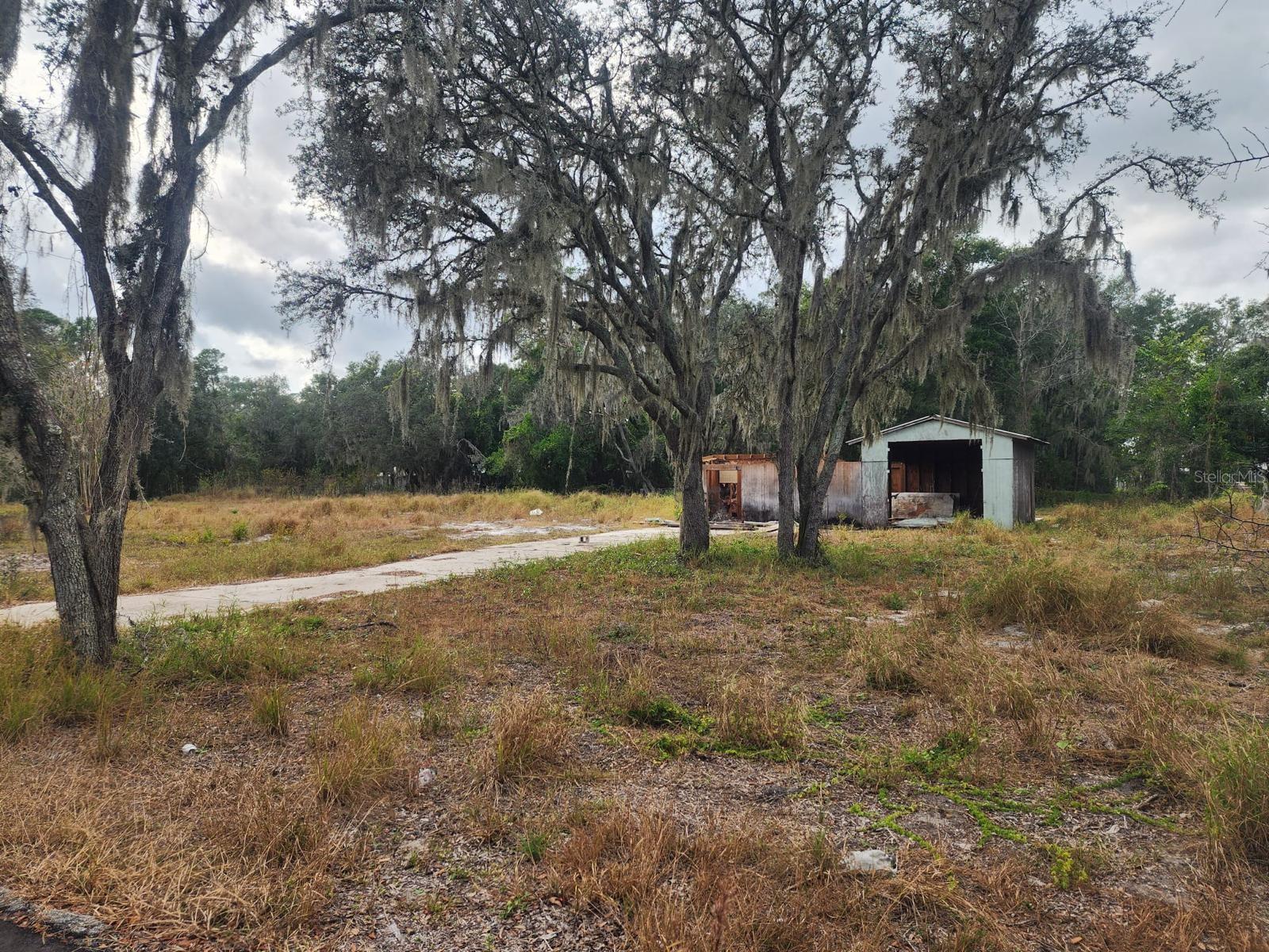 1409 WILKINSON DR, PLANT CITY, FL — photo 11