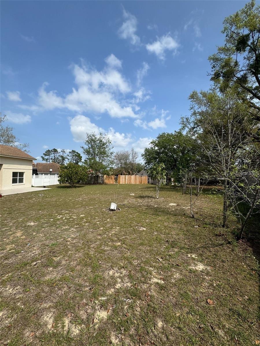 6724 CALLIE RD, ORLANDO, FL — photo 29