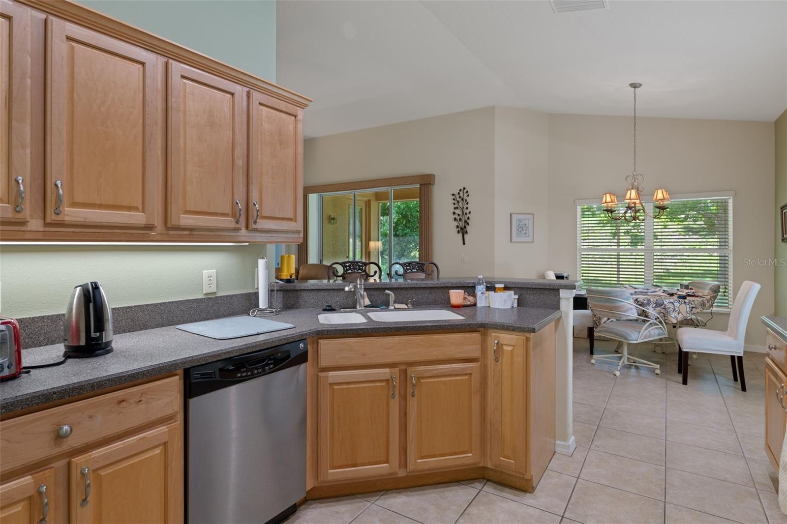 1080 W SKYVIEW CROSSING DR, HERNANDO, FL — photo 14