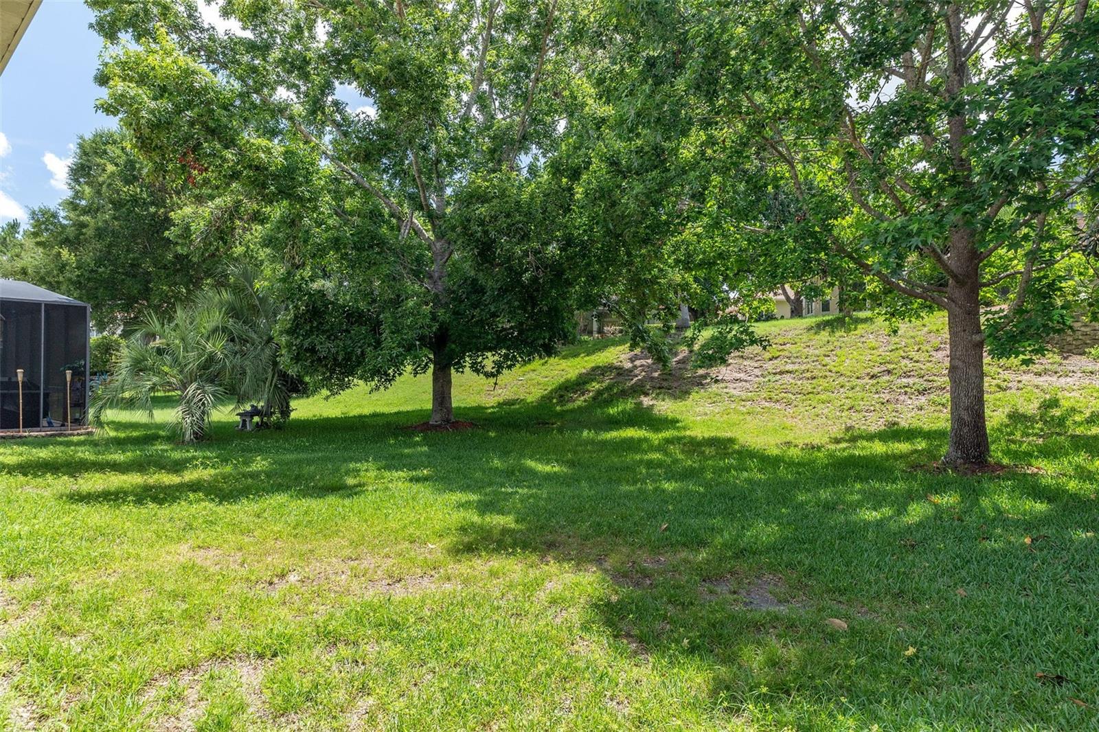 1080 W SKYVIEW CROSSING DR, HERNANDO, FL — photo 31