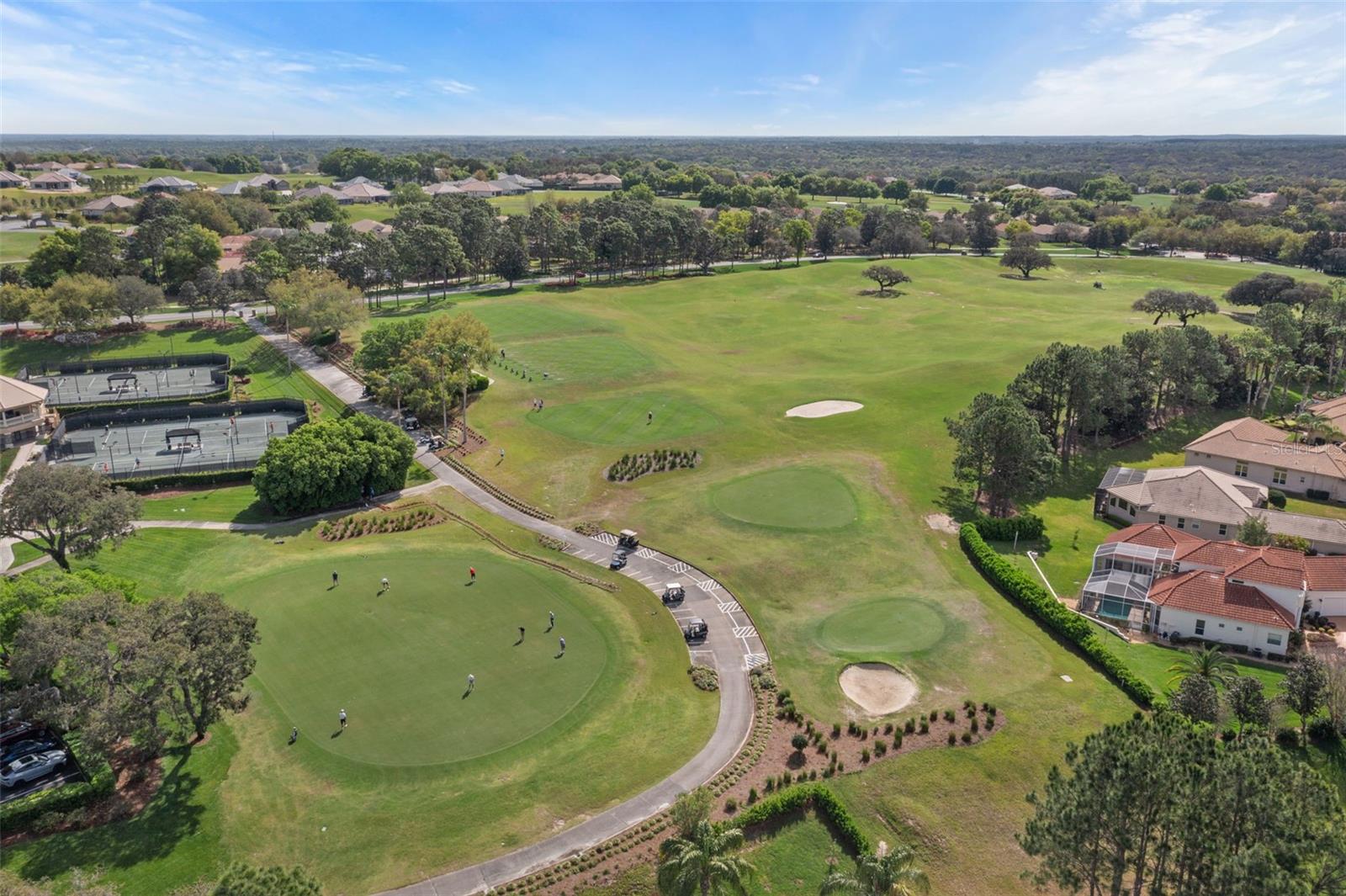 1080 W SKYVIEW CROSSING DR, HERNANDO, FL — photo 54
