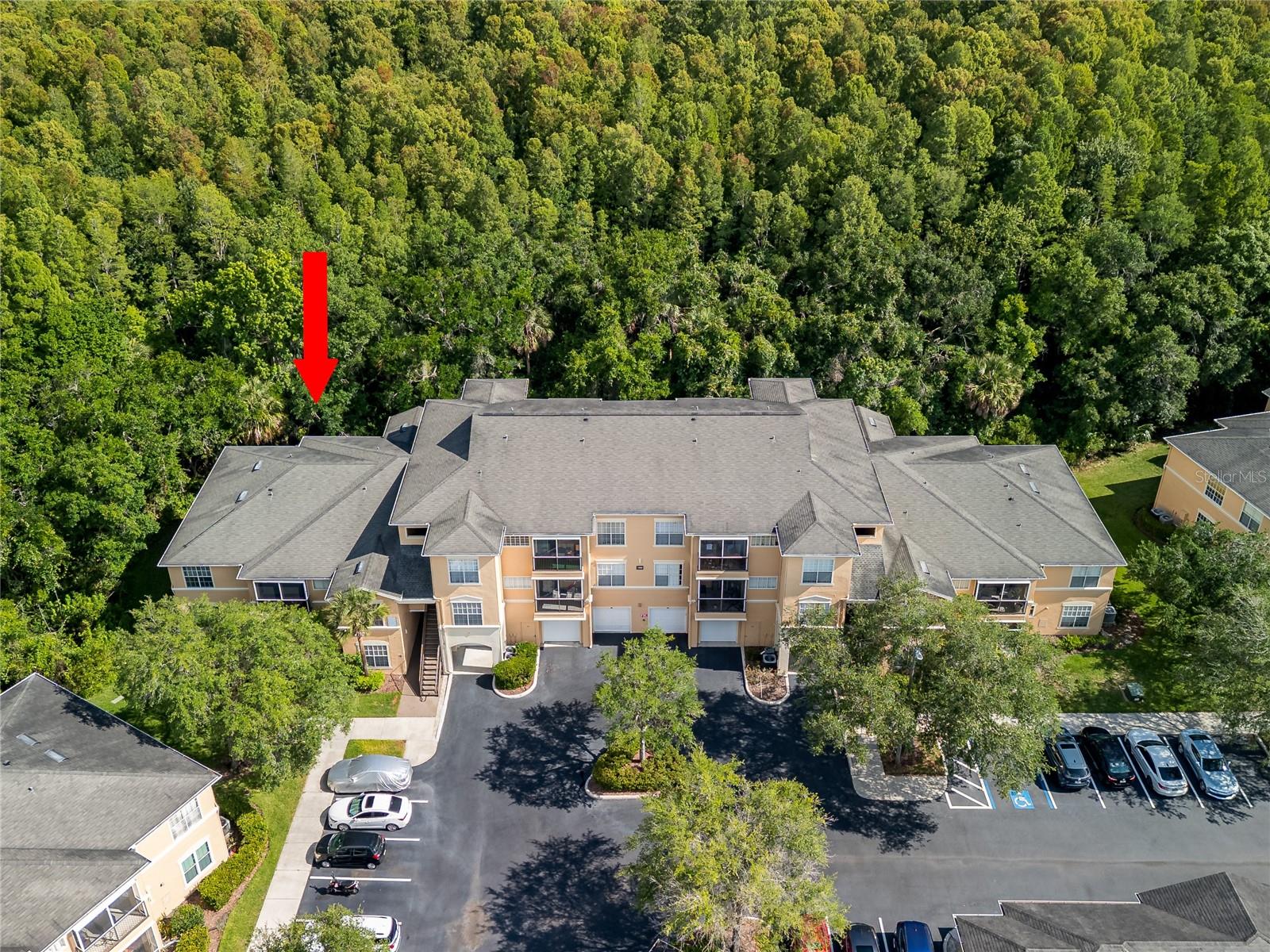 5125 PALM SPRINGS BLVD #7108, TAMPA, FL — photo 2