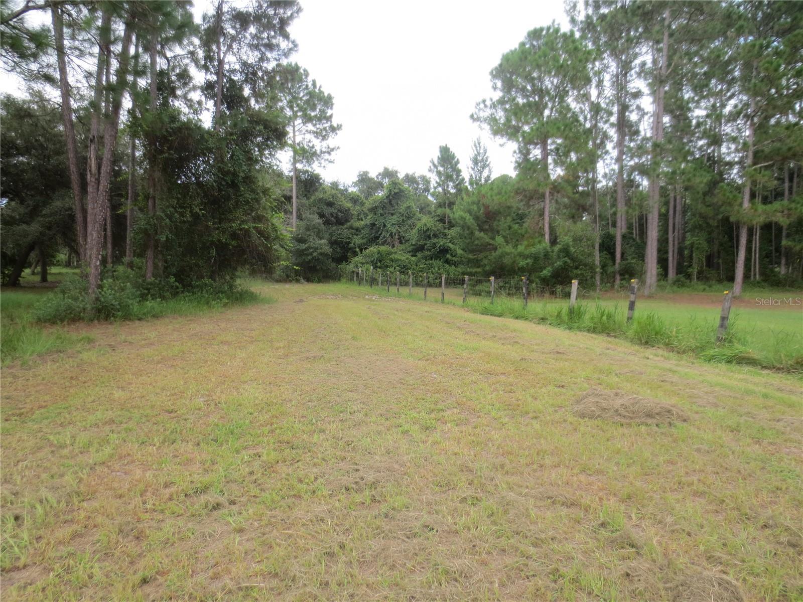 5995 SE 183RD AVENUE RD, OCKLAWAHA, FL — photo 21