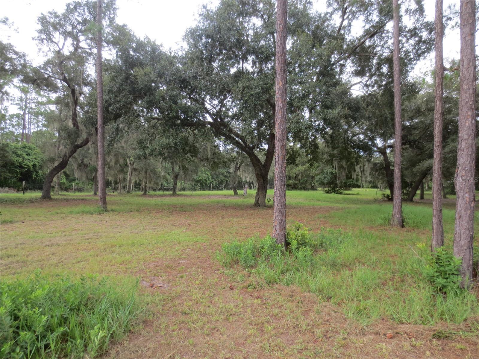 5995 SE 183RD AVENUE RD, OCKLAWAHA, FL — photo 22