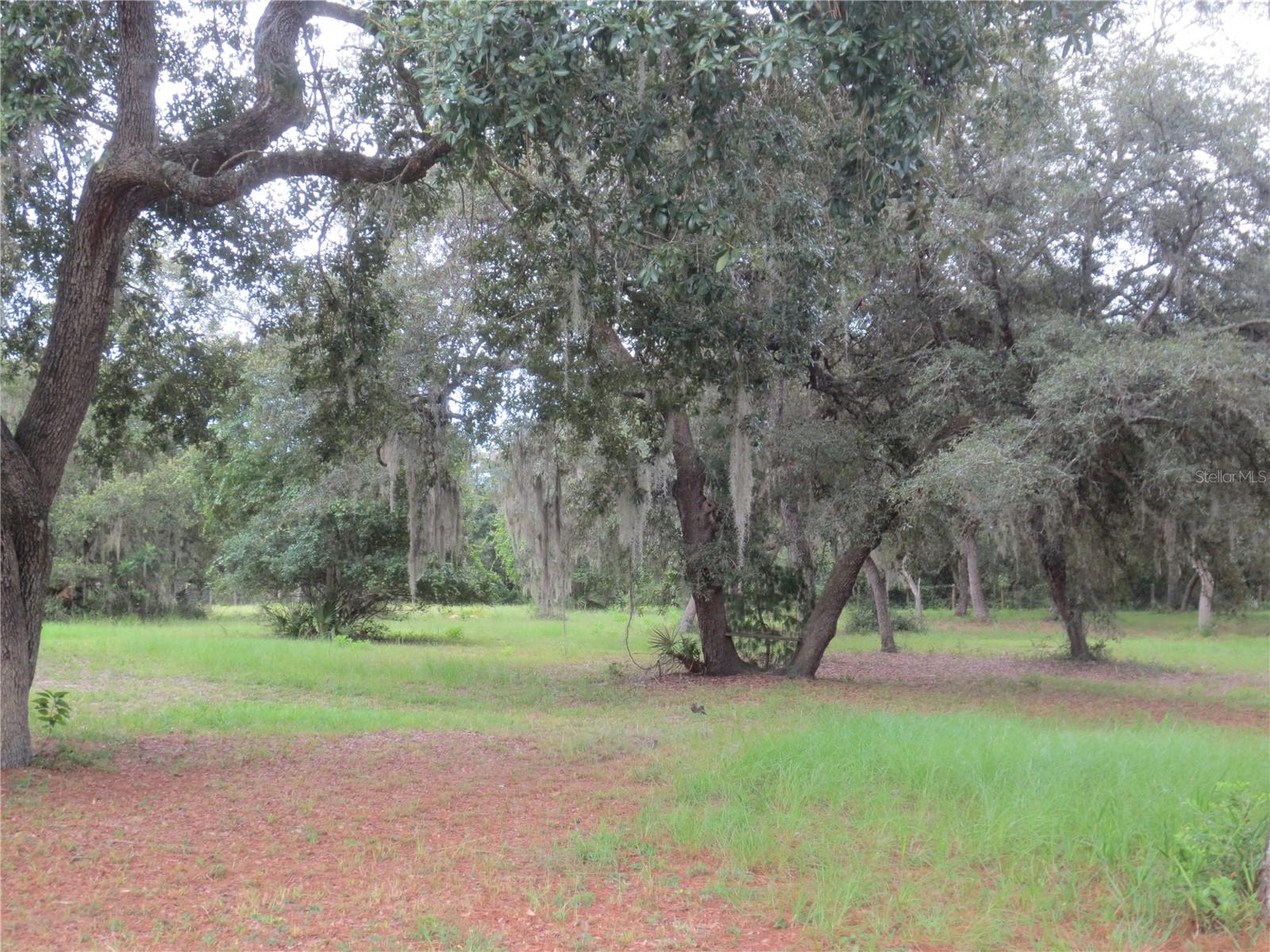5995 SE 183RD AVENUE RD, OCKLAWAHA, FL — photo 23