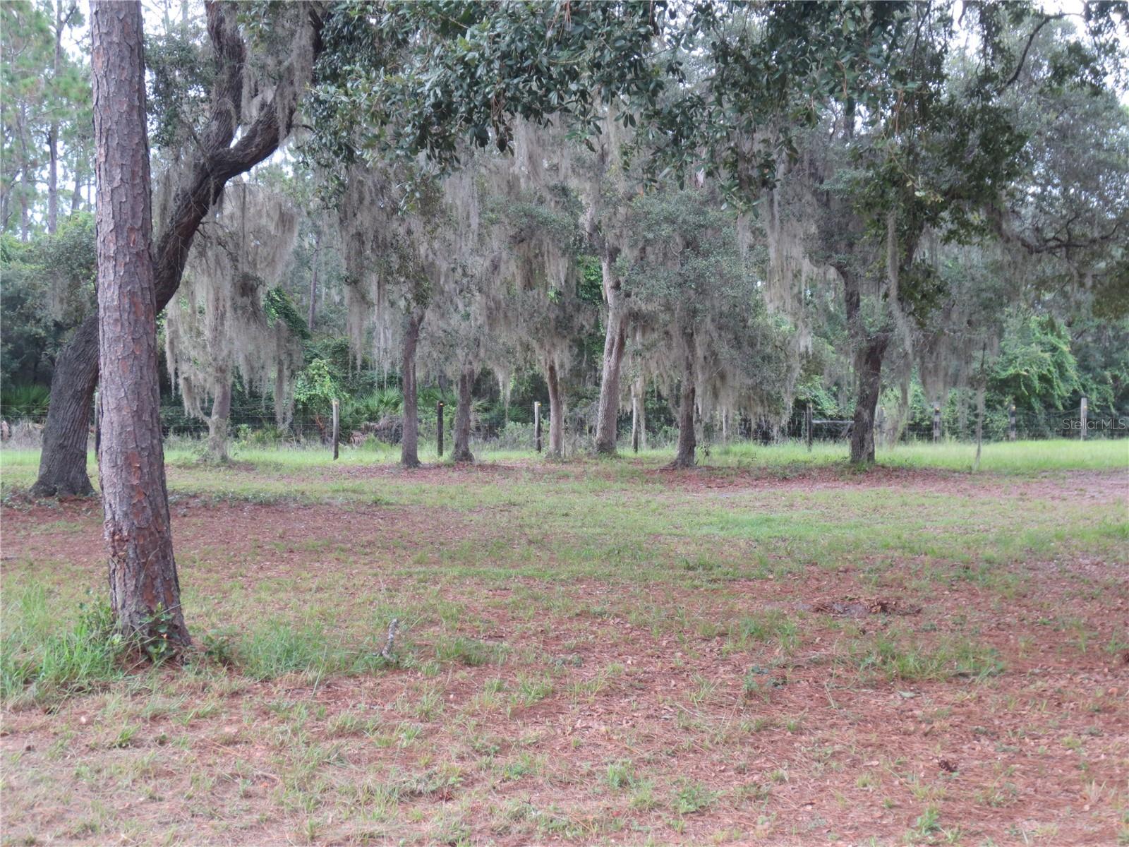 5995 SE 183RD AVENUE RD, OCKLAWAHA, FL — photo 24