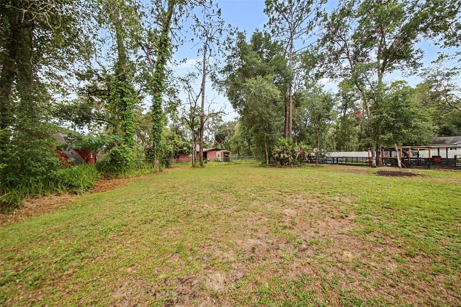 17050 SE 60TH ST, OCKLAWAHA, FL — photo 15