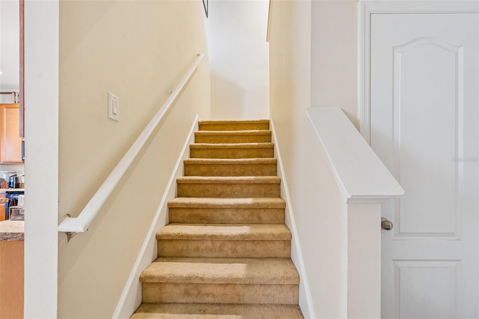 5017 WHITE SANDERLING CT, TAMPA, FL — photo 22