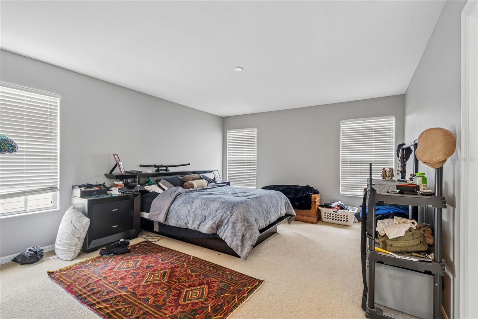 5017 WHITE SANDERLING CT, TAMPA, FL — photo 24