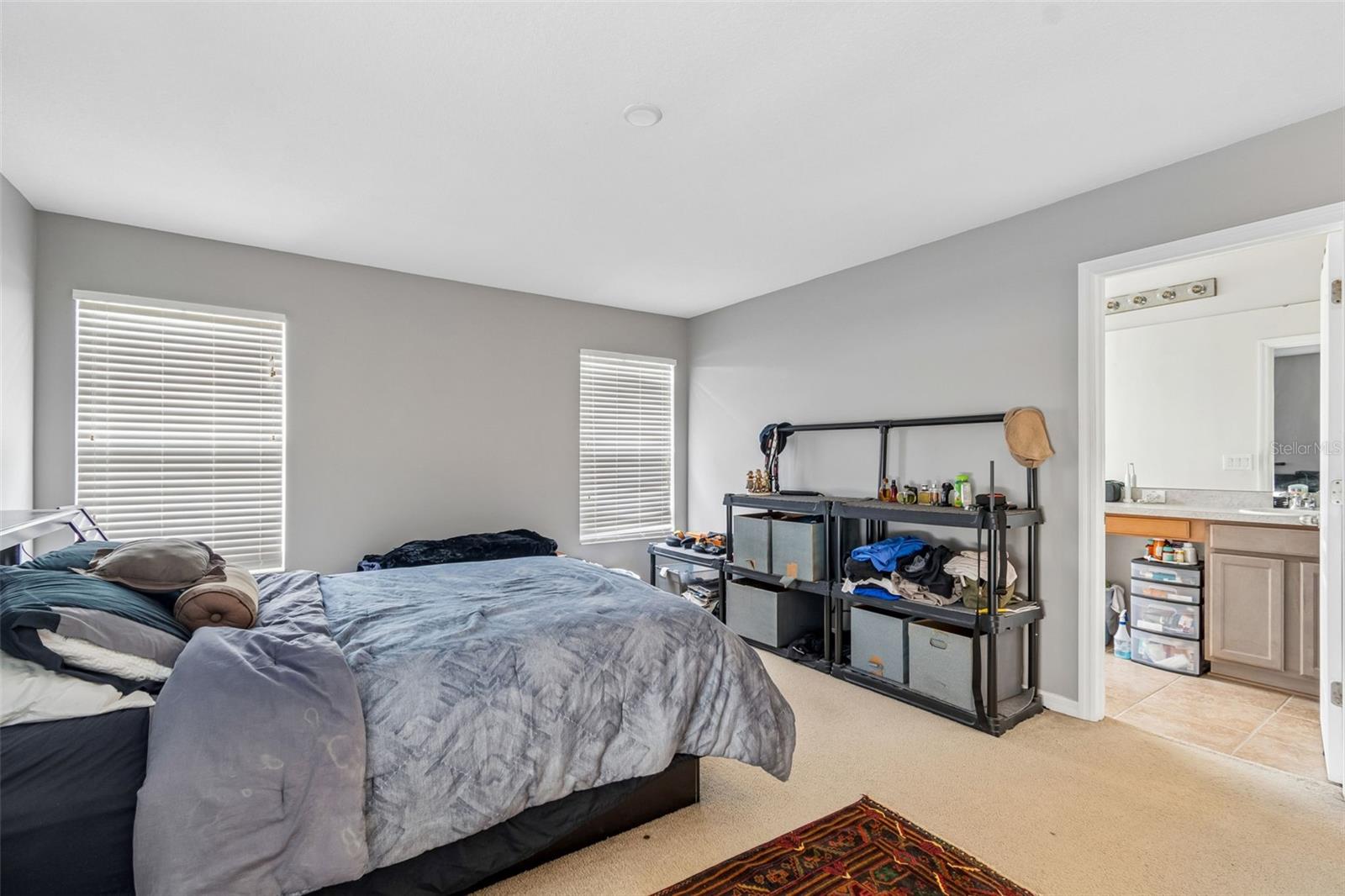 5017 WHITE SANDERLING CT, TAMPA, FL — photo 25