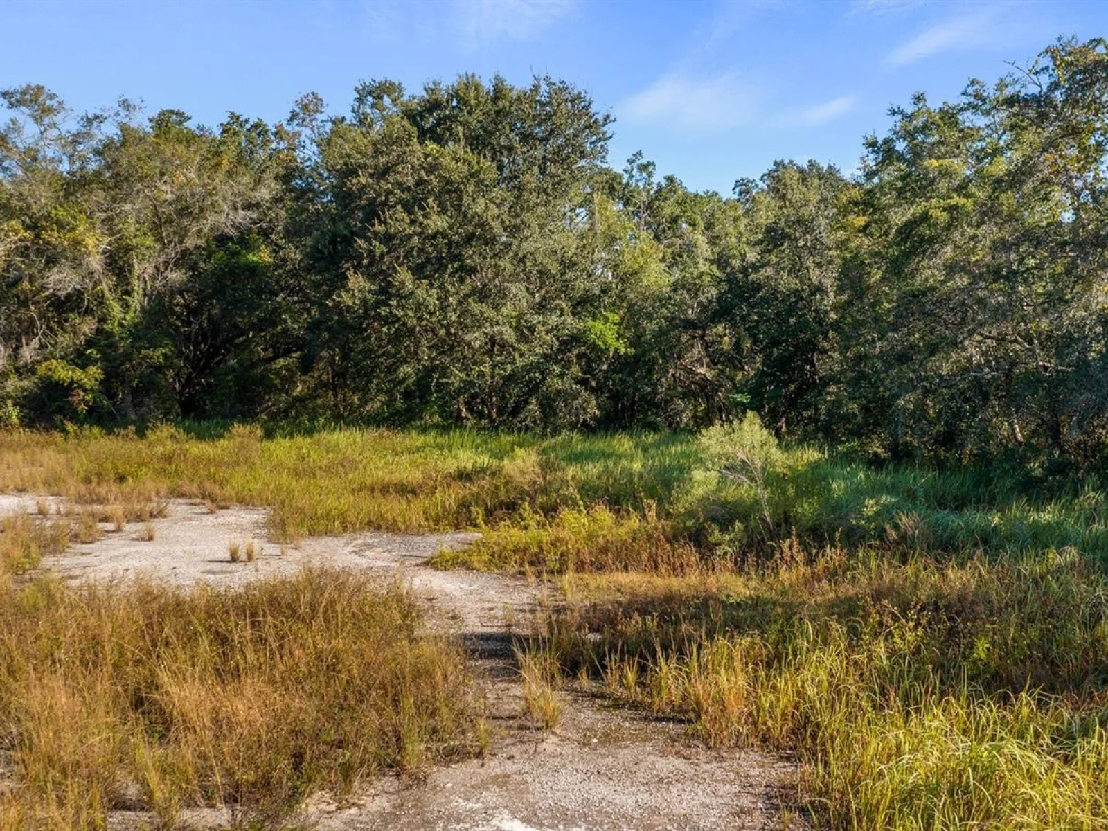 23158 LOOP RD, GROVELAND, FL — photo 20