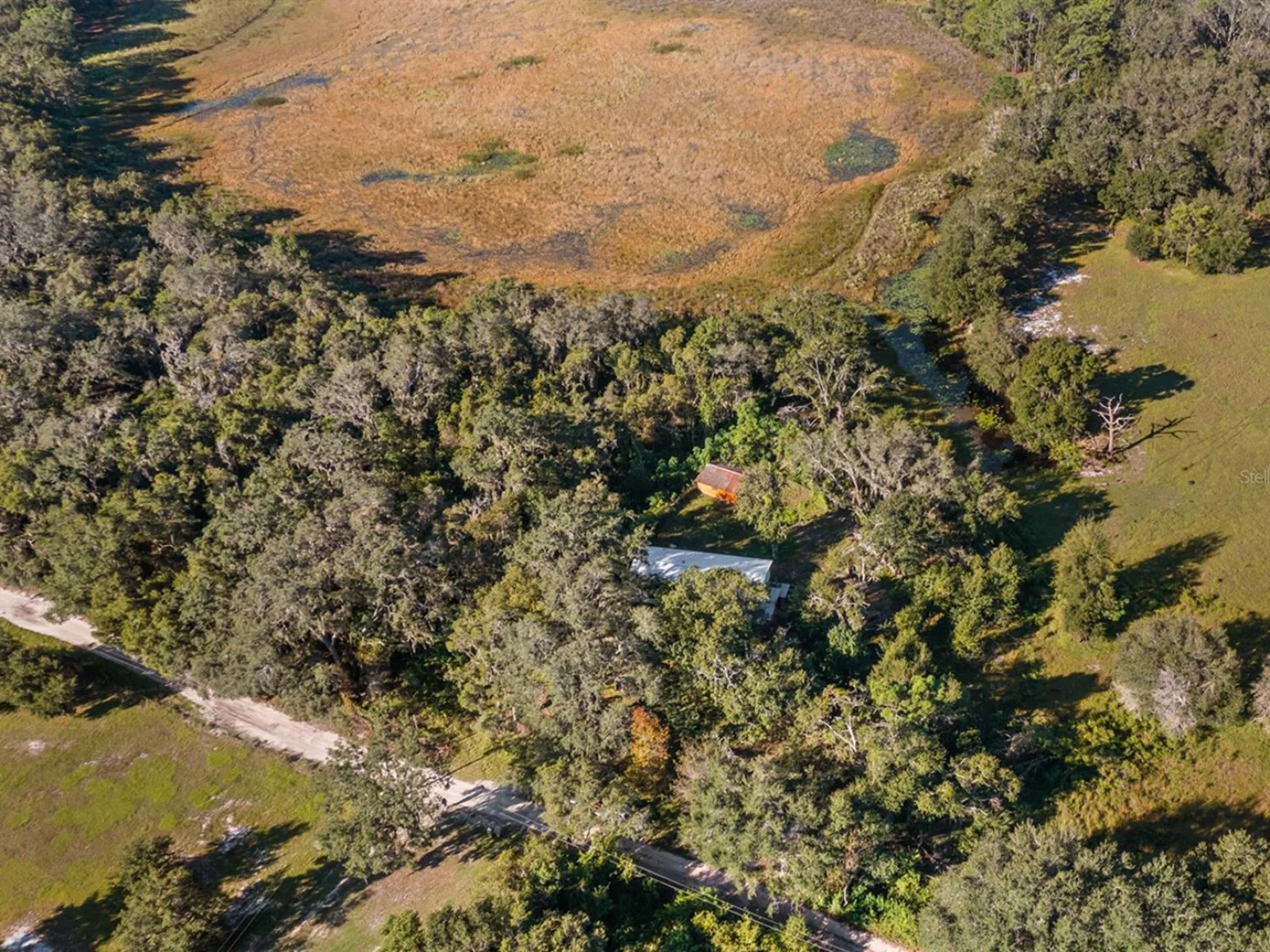 23158 LOOP RD, GROVELAND, FL — photo 29
