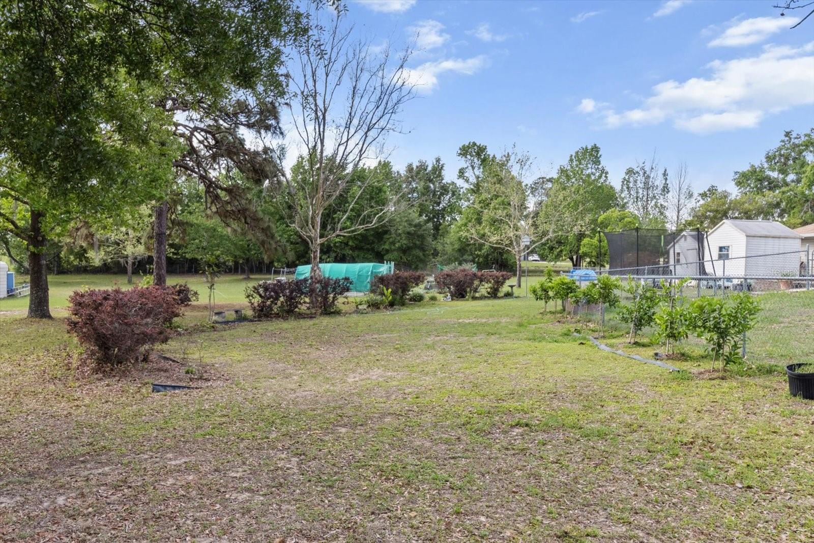 8921 S THOROUGHBRED PT, INVERNESS, FL — photo 67