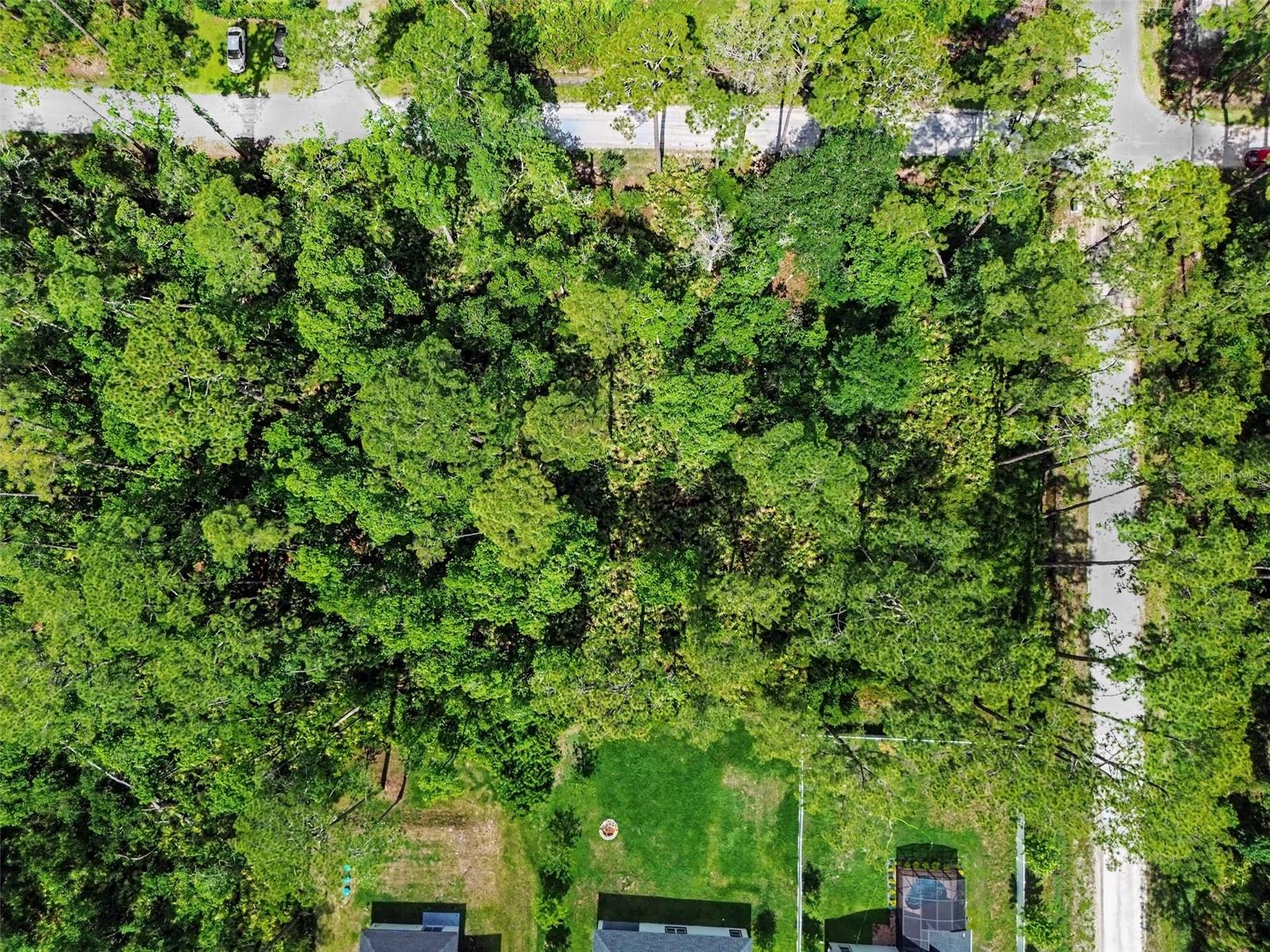 1465 EAST PKWY, DELAND, FL — photo 8