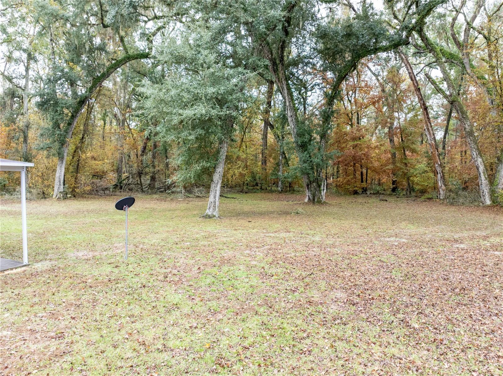 1366 SW CENTRAL TER, FORT WHITE, FL — photo 40