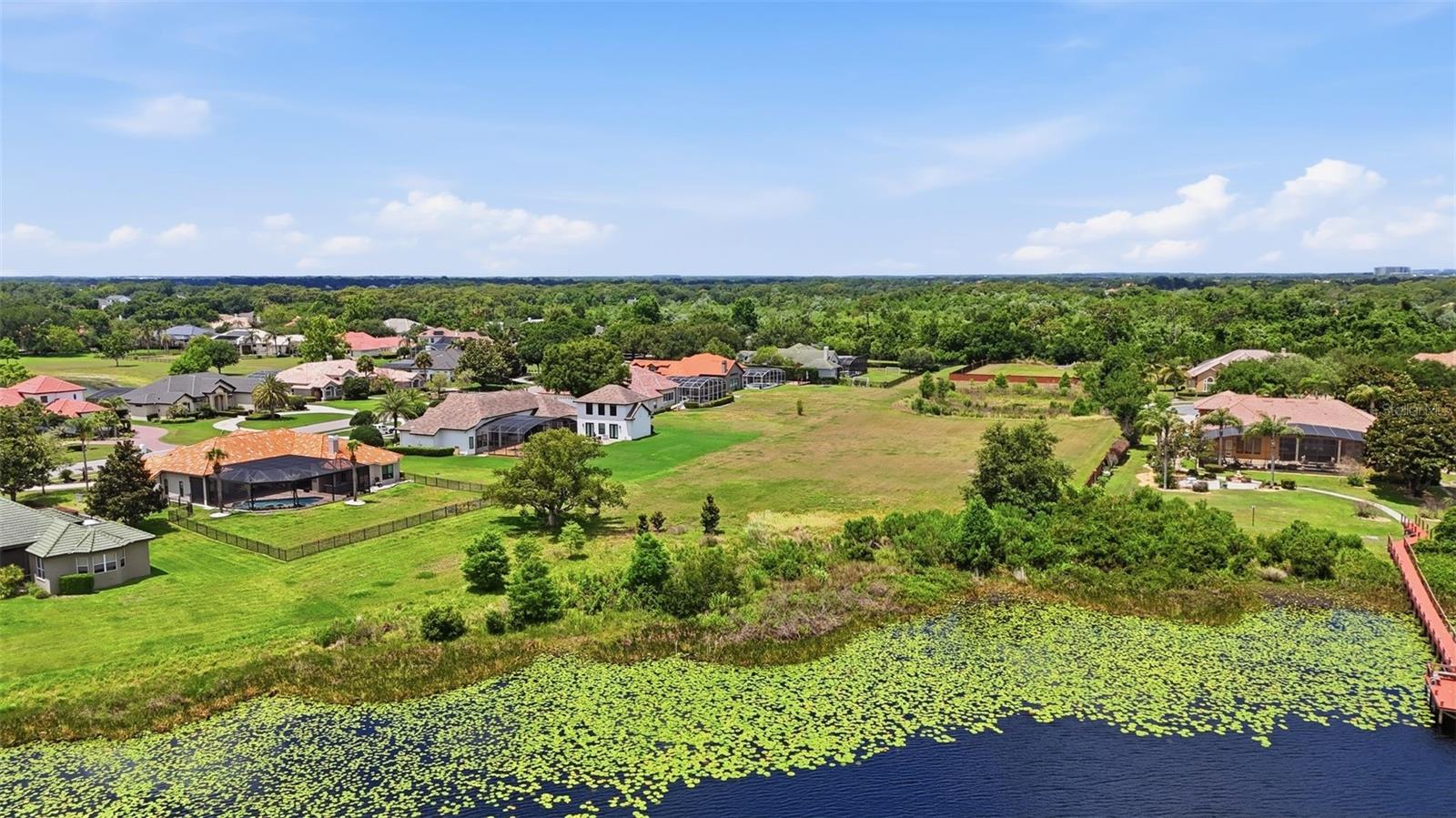 11544 WILLOW GARDENS DR, WINDERMERE, FL — photo 5