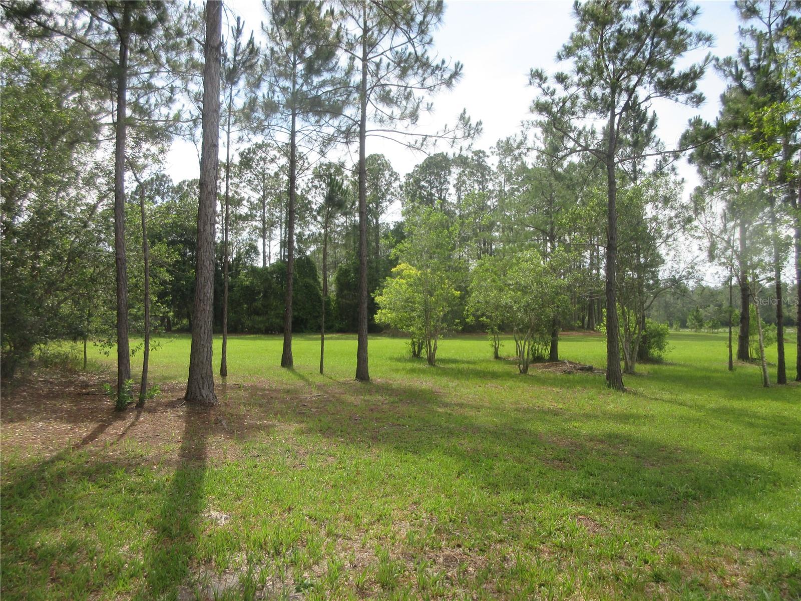 0 SE 10TH ST, SILVER SPRINGS, FL