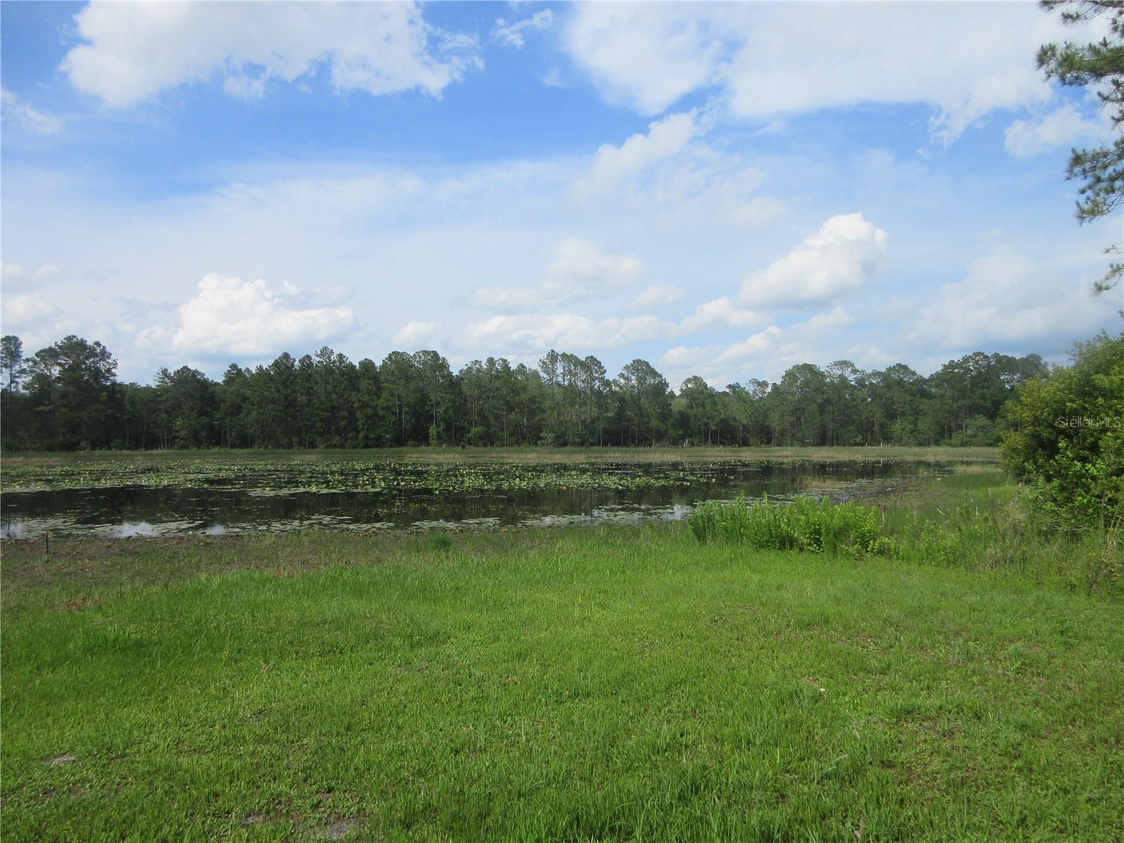 0 SE 10TH ST, SILVER SPRINGS, FL — photo 2