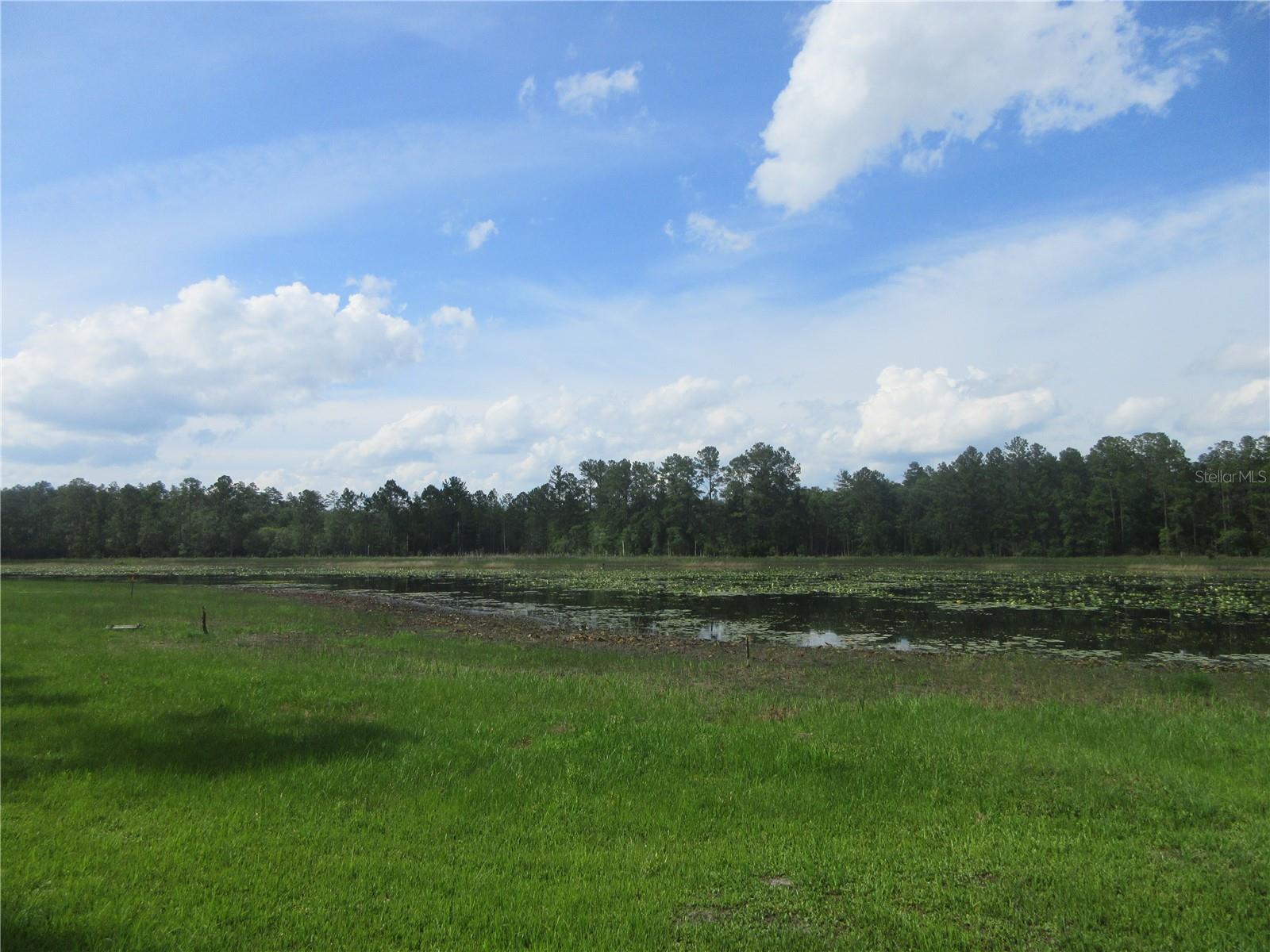 0 SE 10TH ST, SILVER SPRINGS, FL — photo 3