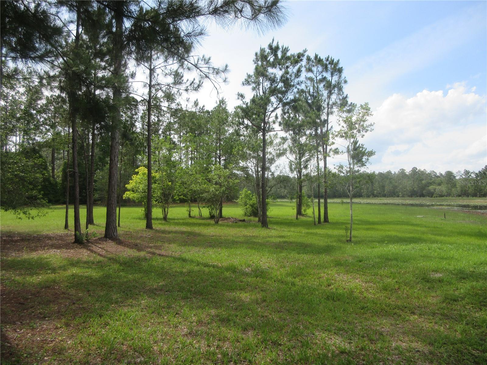 0 SE 10TH ST, SILVER SPRINGS, FL — photo 4