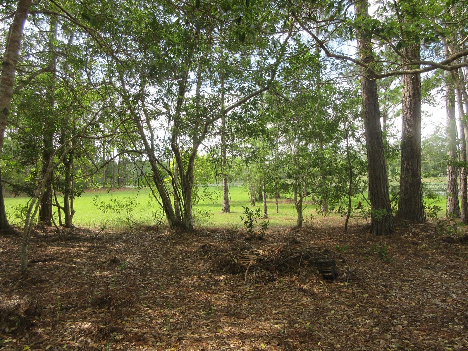 0 SE 10TH ST, SILVER SPRINGS, FL — photo 5