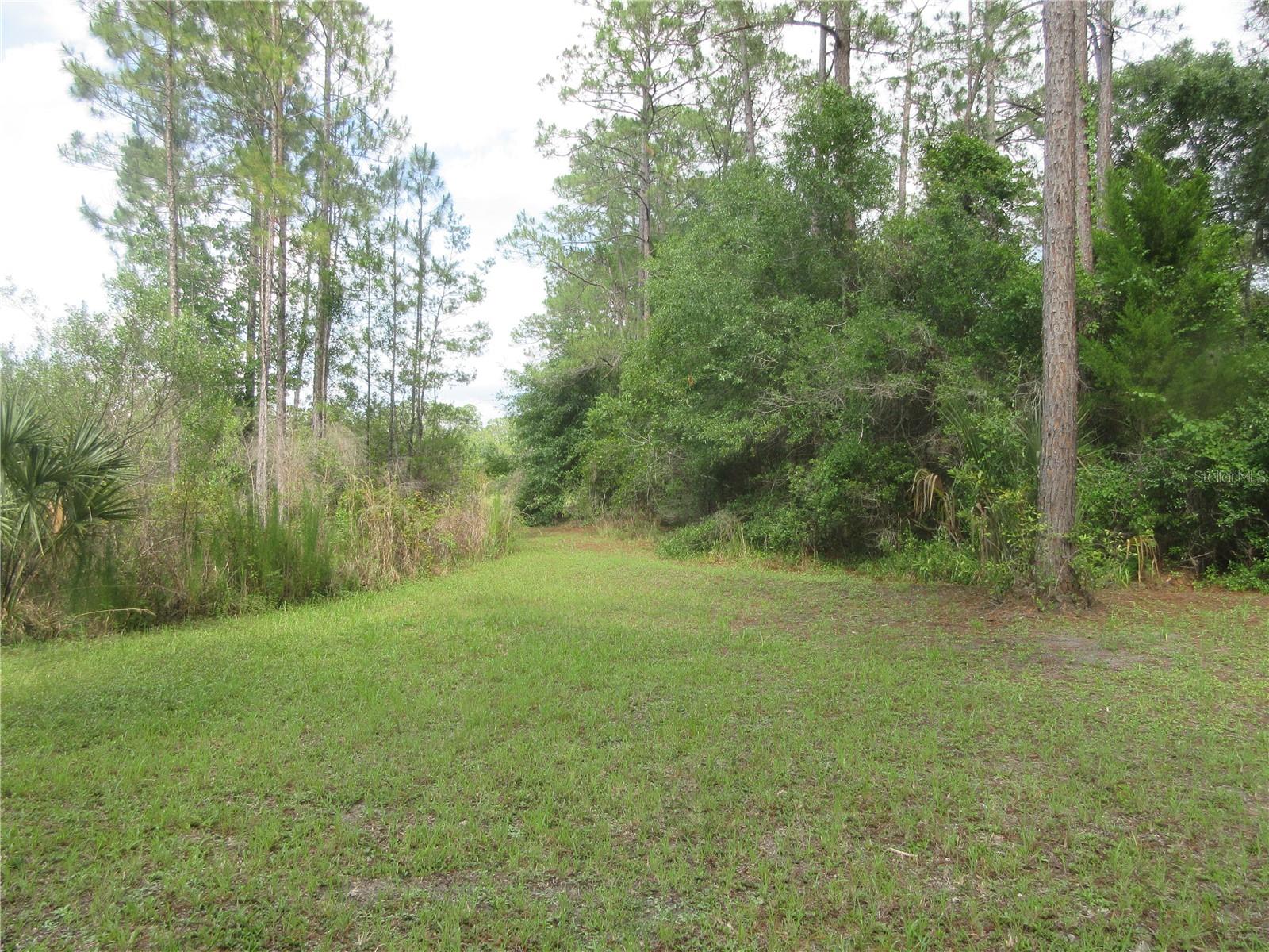 0 SE 10TH ST, SILVER SPRINGS, FL — photo 6