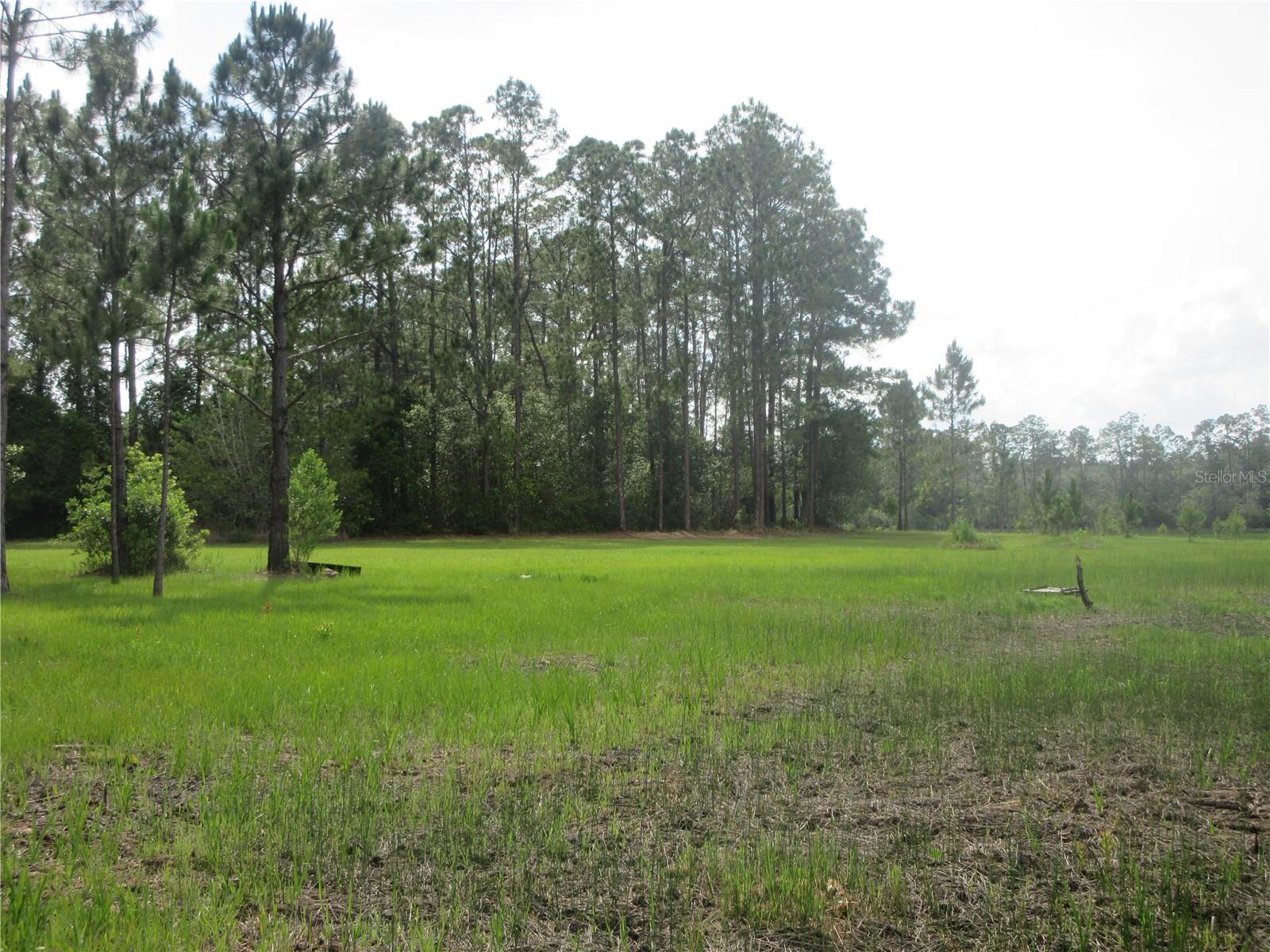 0 SE 10TH ST, SILVER SPRINGS, FL — photo 7