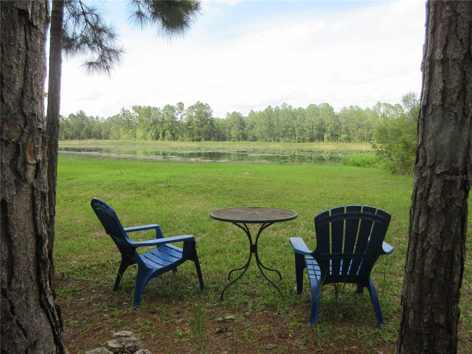 0 SE 10TH ST, SILVER SPRINGS, FL — photo 10