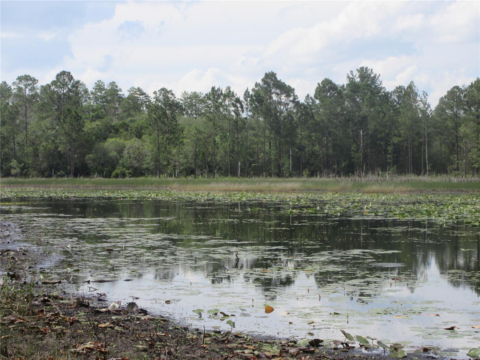 0 SE 10TH ST, SILVER SPRINGS, FL — photo 11