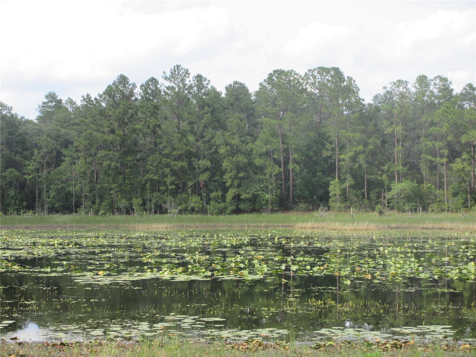 0 SE 10TH ST, SILVER SPRINGS, FL — photo 12