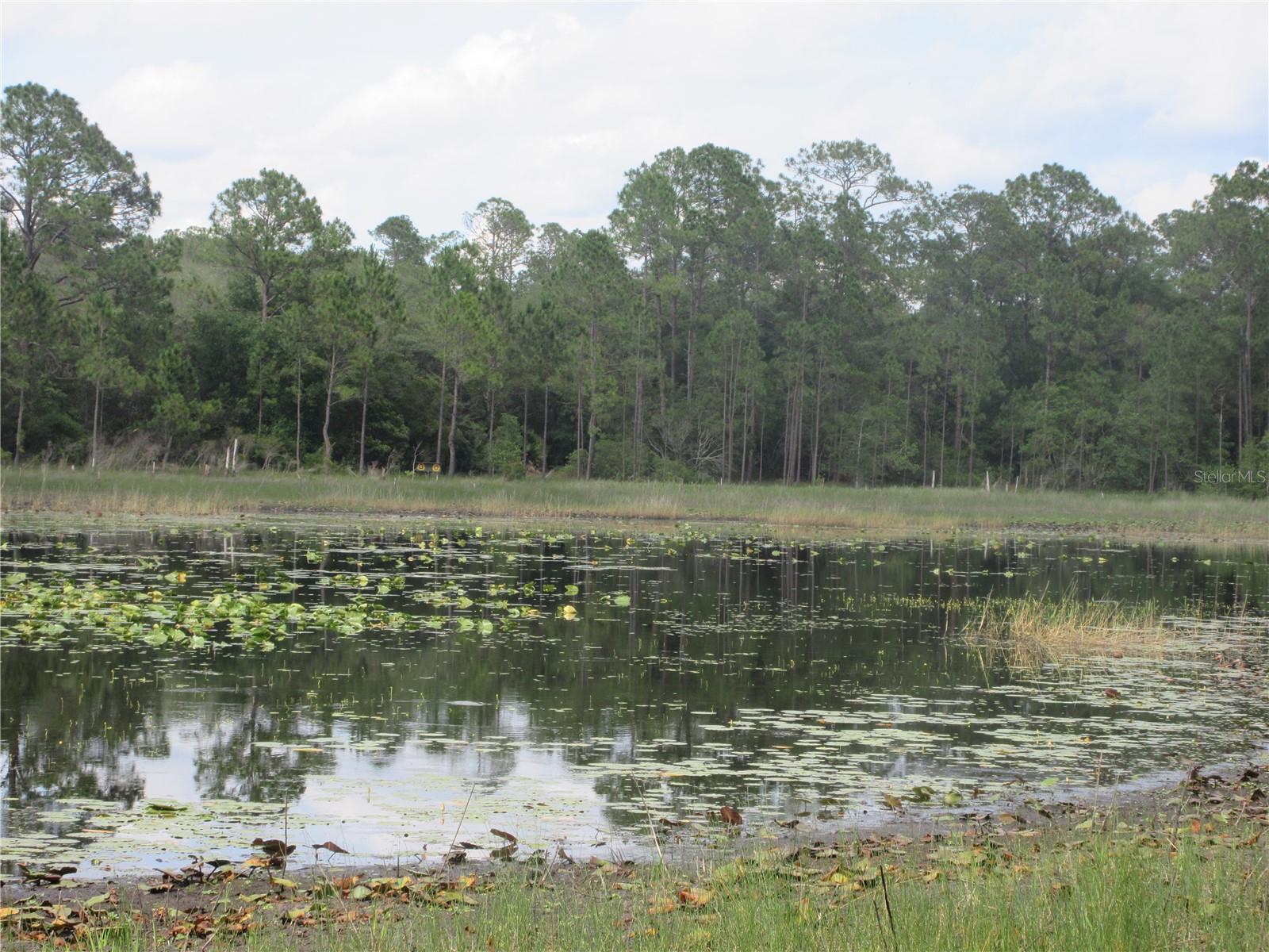0 SE 10TH ST, SILVER SPRINGS, FL — photo 13