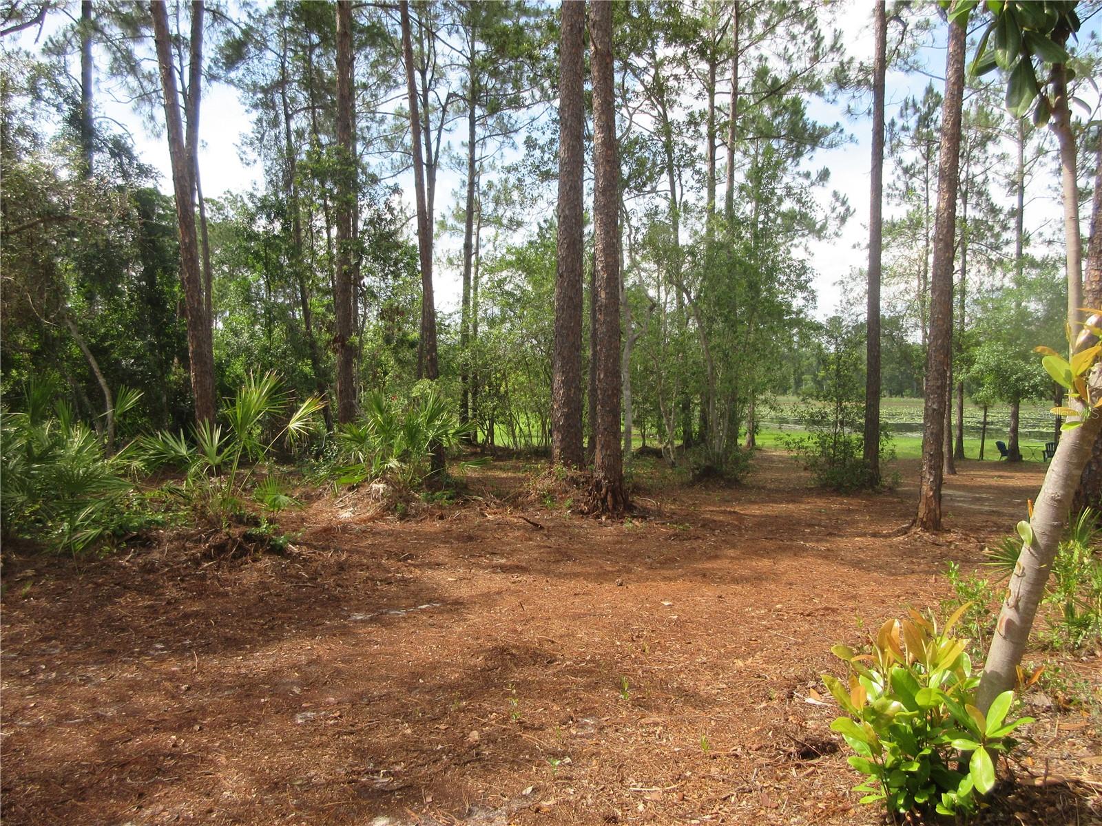 0 SE 10TH ST, SILVER SPRINGS, FL — photo 14
