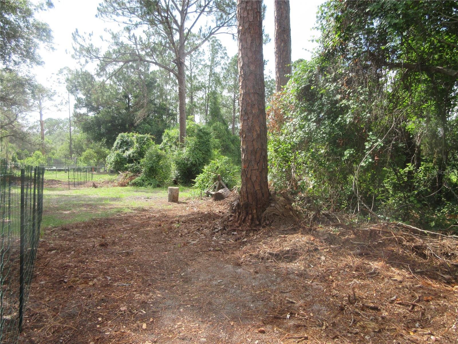 0 SE 10TH ST, SILVER SPRINGS, FL — photo 15