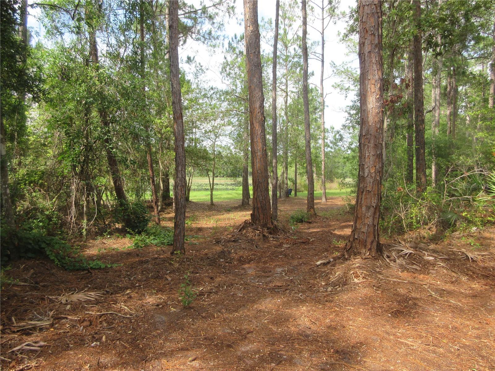 0 SE 10TH ST, SILVER SPRINGS, FL — photo 16