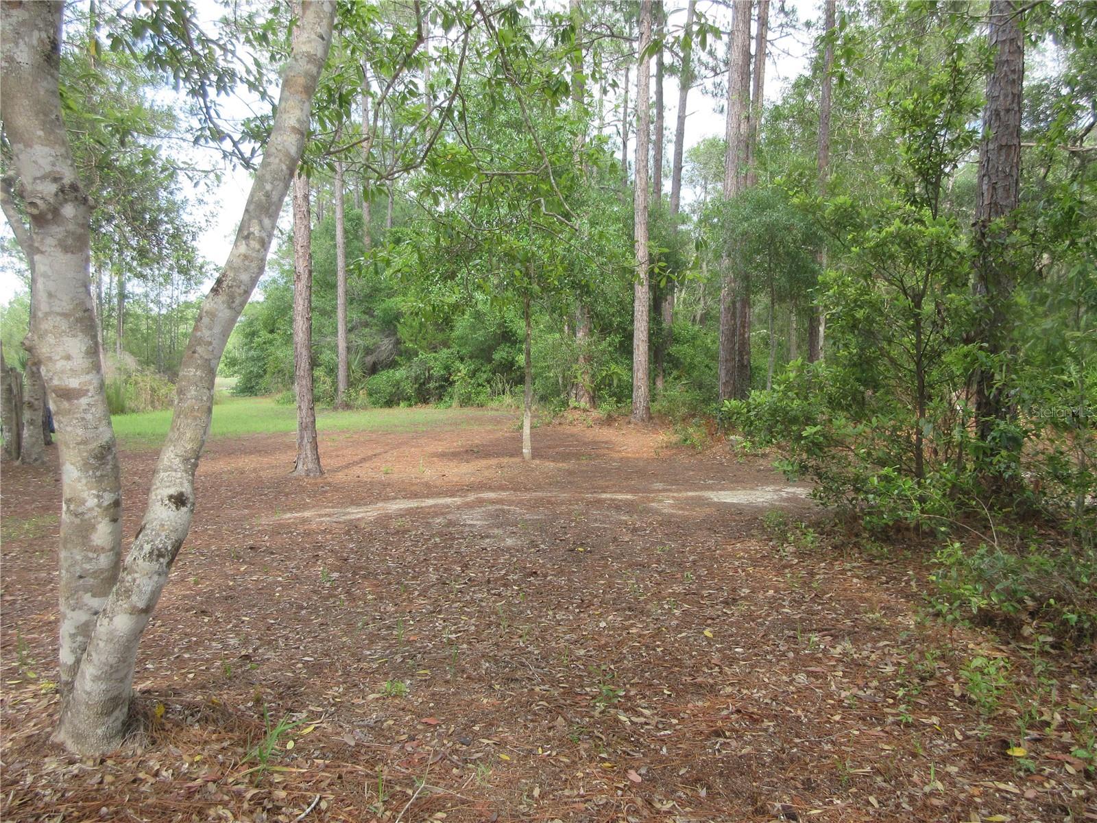 0 SE 10TH ST, SILVER SPRINGS, FL — photo 17