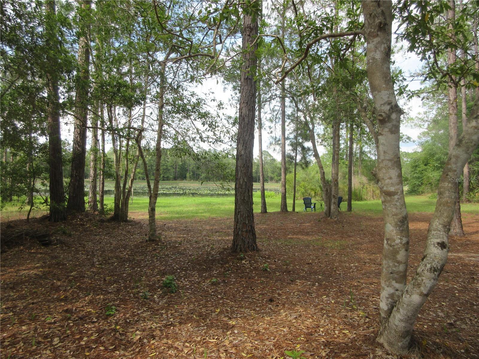 0 SE 10TH ST, SILVER SPRINGS, FL — photo 18