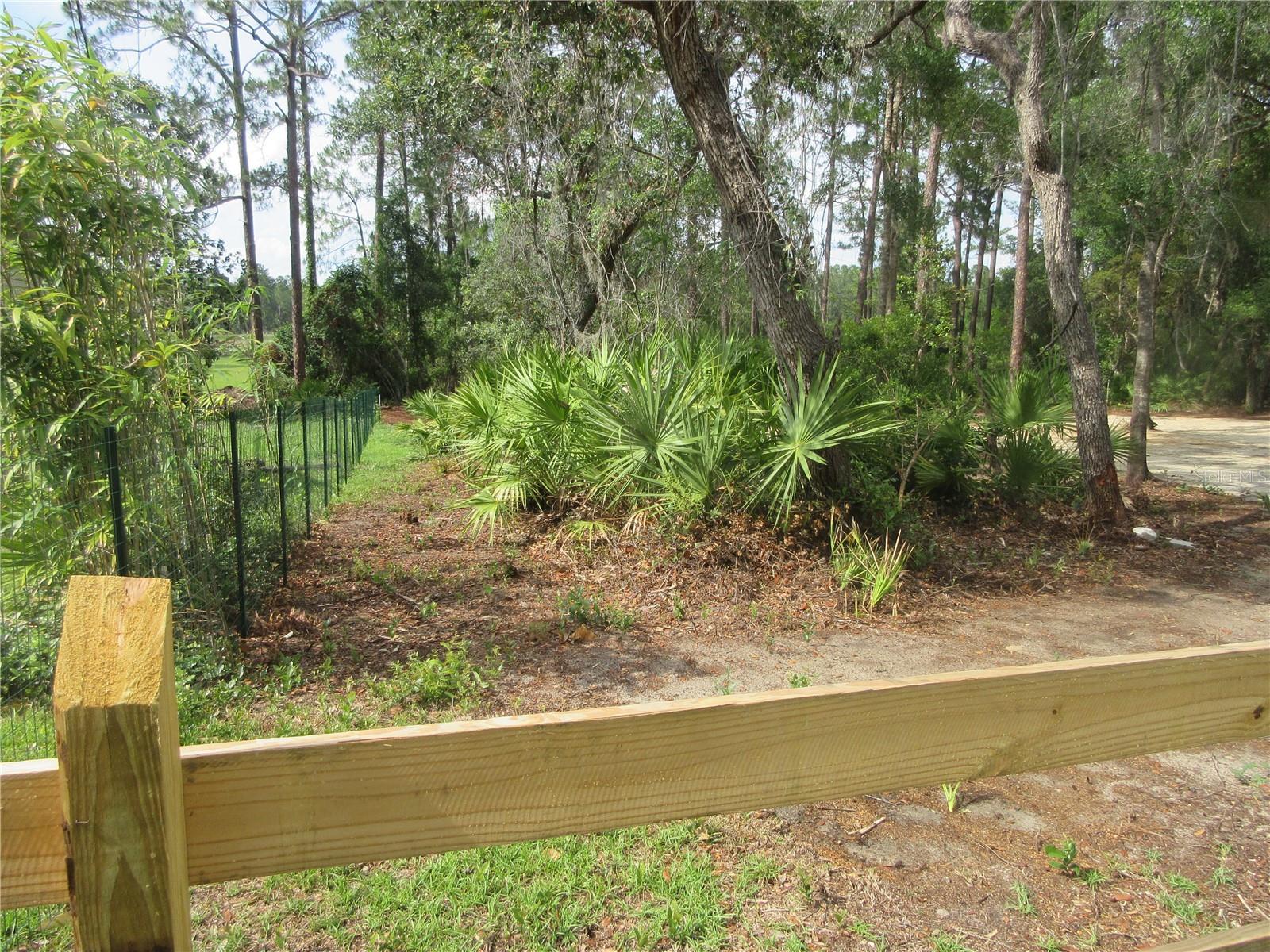 0 SE 10TH ST, SILVER SPRINGS, FL — photo 21