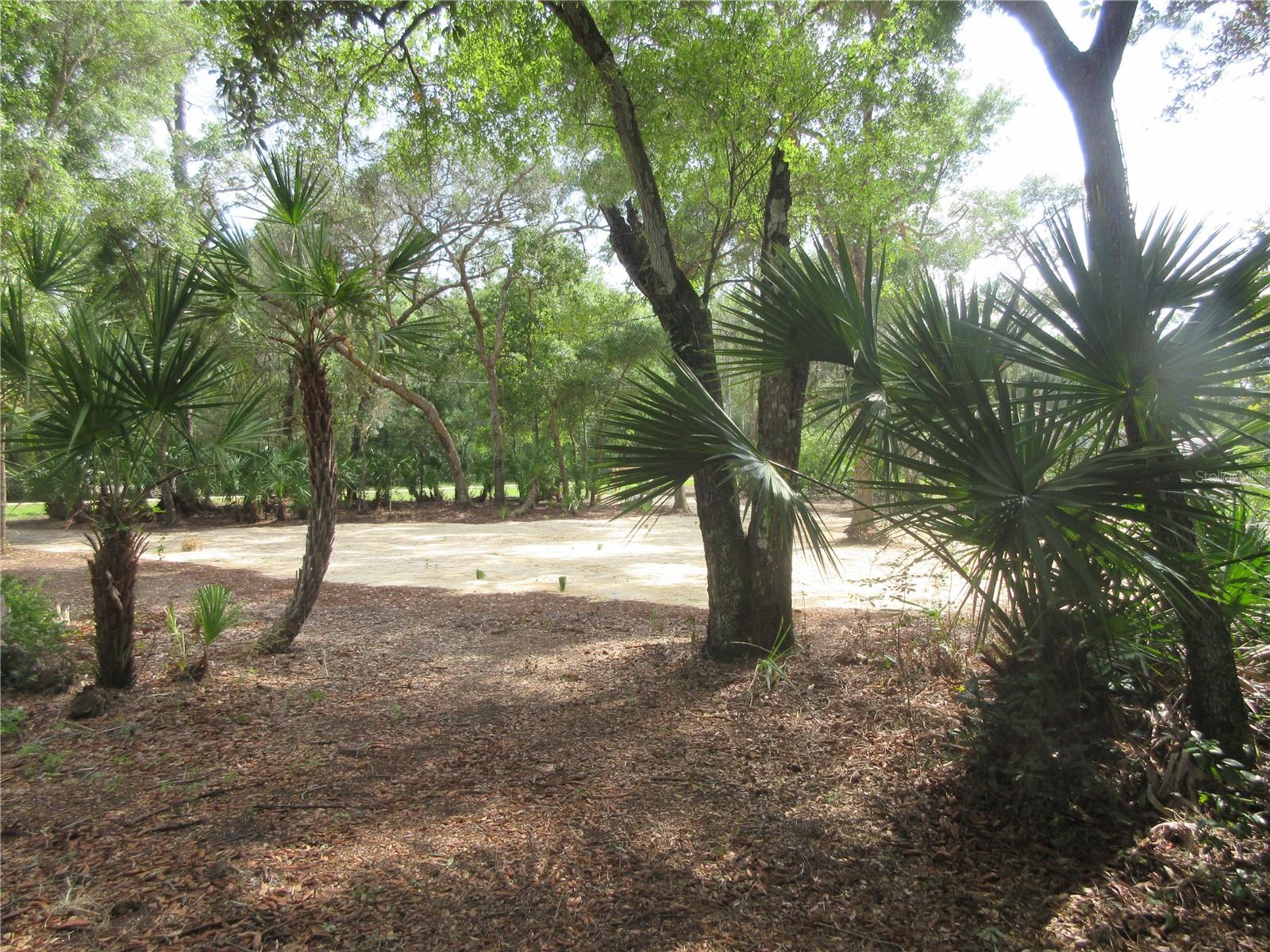 0 SE 10TH ST, SILVER SPRINGS, FL — photo 28