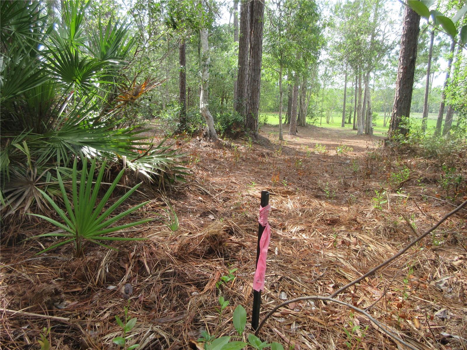 0 SE 10TH ST, SILVER SPRINGS, FL — photo 30